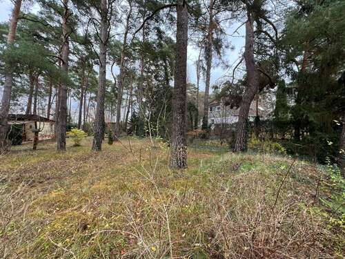 Foto - Grundstück zu verkaufen in Blankenfelde-Mahlow 220.000,00 € 836 m²