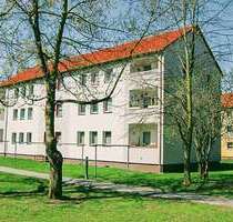 Wohnung zum Mieten in Prenzlau 320,00 € 39.62 m²