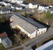 Spezialgewerbe in Riesa 250.000,00 € 460 m²