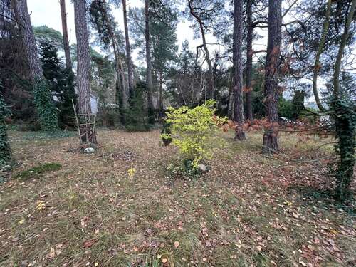 Foto - Grundstück zu verkaufen in Blankenfelde-Mahlow 445.000,00 € 1658 m²