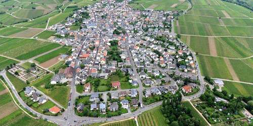 Foto - Wohnung zum Mieten in Oestrich-Winkel 550,00 € 55 m²