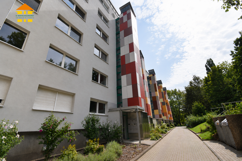 Foto - Wohnung zum Mieten in Chemnitz 385,00 € 69.36 m²