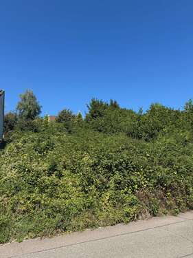 Foto - Grundstück zu verkaufen in Lörrach 749.000,00 € 762 m²