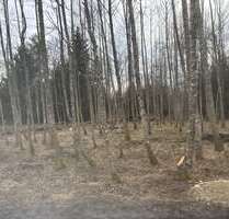 Grundstück in Eggstätt 43.000,00 € 9600 m²