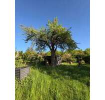 Grundstück zu verkaufen in Stuttgart 25.000,00 € 542 m²