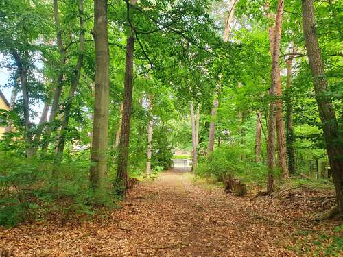 Foto - Grundstück zu verkaufen in Michendorf 348.000,00 € 870 m²