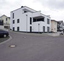 Wohnung zum Kaufen in Linz 399.000,00 € 107 m²