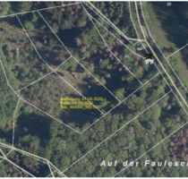 Grundstück zu verkaufen in Bad Endbach 16.500,00 € 2239 m²