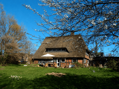 Foto - Haus zum Kaufen in Schwissel 659.000,00 € 227.81 m²