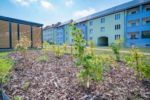 Foto - Wohnung zum Mieten in Eberswalde 630,00 € 73.94 m²