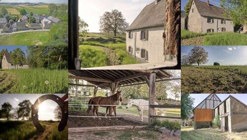 Foto - Haus zum Kaufen in Münstermaifeld 239.000,00 € 140 m²