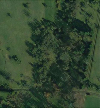 Foto - Grundstück zu verkaufen in Ortenberg 10.500,00 € 493 m²