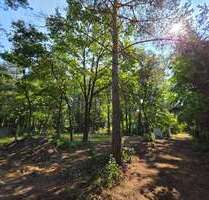 Grundstück zum Mieten in Rüdnitz 3.300,00 € 430 m²