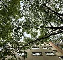 Wohnung zum Mieten in Berlin 690,00 € 24 m²