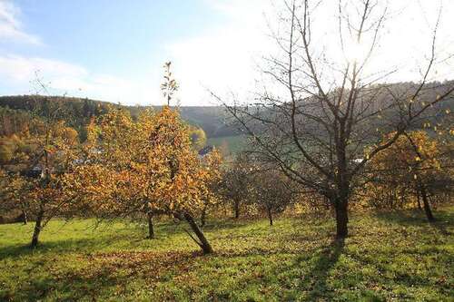 Foto - Grundstück zu verkaufen in Breuberg, OT Wald-Amorbach 195.000,00 € 3398 m²