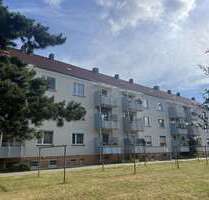 Wohnung zum Mieten in Lutherstadt Wittenberg 315,00 € 61 m²