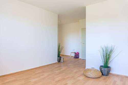 Foto - Wohnung zum Mieten in Chemnitz 244,00 € 54.22 m²