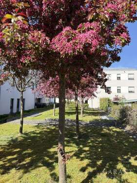 Foto - Wohnung zum Kaufen in Manching 349.000,00 € 70 m²