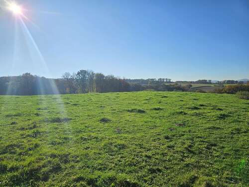 Foto - Grundstück zu verkaufen in Buchholz 180.000,00 € 837 m²
