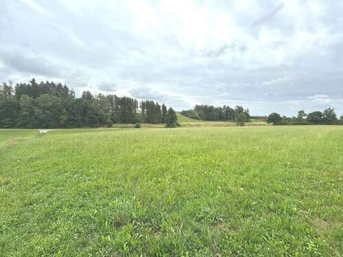 Foto - Grundstück in Kettershausen-Zaiertshofen 69.900,00 € 10875 m²