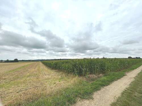 Foto - Grundstück in Kettershausen-Zaiertshofen 289.900,00 € 30349 m²