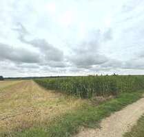 Grundstück in Kettershausen-Zaiertshofen 249.800,00 € 30349 m²