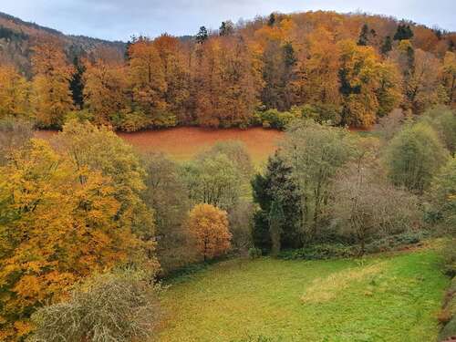 Foto - Wohnung zum Kaufen in Bad Herrenalb 199.000,00 € 100 m²