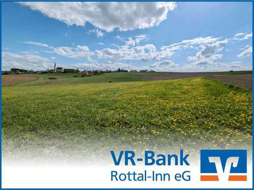 Foto - Grundstück in Schönau 154.500,00 € 20599 m²