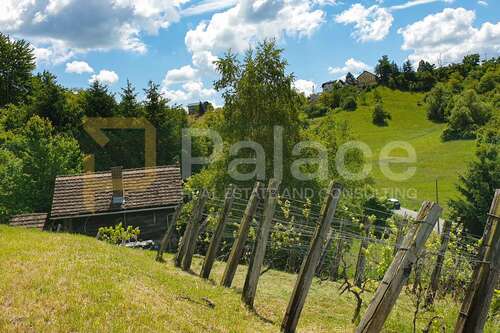 Foto - Grundstück zu verkaufen in Samobor - Okolica 90.000,00 € 4589 m²