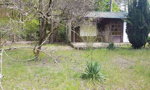 Foto - Grundstück zum Mieten in Bad Saarow 2.500,00 € 500 m²