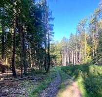 Grundstück in Pentling Matting 92.000,00 € 15433 m² - Pentling / Matting