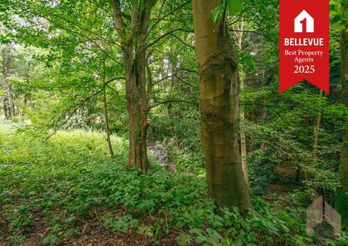 Foto - Grundstück zu verkaufen in Eitorf Halft 165.000,00 € 740 m²