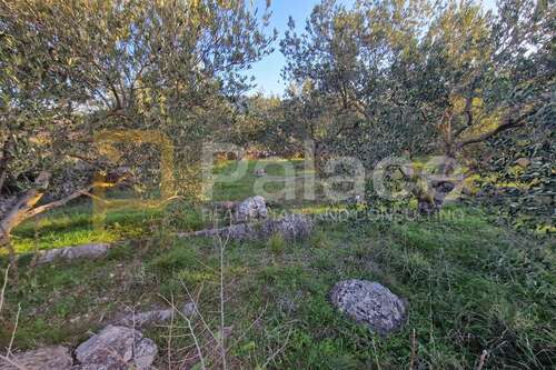 Foto - Grundstück zu verkaufen in Šibenik - Okolica 19.000,00 € 838 m²