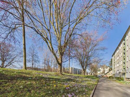Foto - Wohnung zum Mieten in Chemnitz 341,00 € 59.78 m²