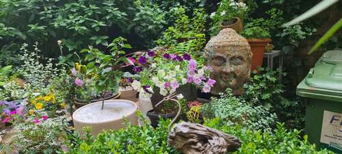 Foto - WG-Zimmer in Frankfurt am Main 750,00 € 20 m²