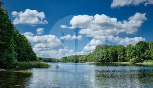 Foto - Wohnung zum Kaufen in Berlin 950.000,00 € 156 m²