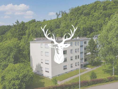 Foto - Wohnung zum Kaufen in Wutöschingen 149.000,00 € 53 m²