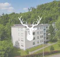 Wohnung zum Kaufen in Wutöschingen 149.000,00 € 53 m²
