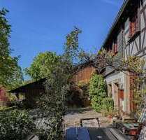 Haus zum Kaufen in Birkenfeld 415.000,00 € 267 m²