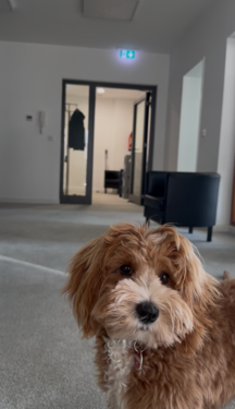 Foto - Büro in Frankfurt am Main 950,00 € 24 m²