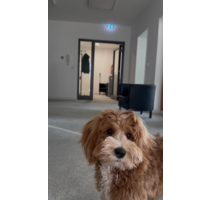 Büro in Frankfurt am Main 950,00 € 24 m²