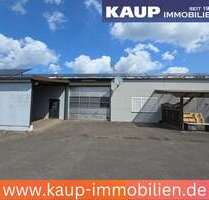 Halle in Rheda-Wiedenbrück 1.000,00 € 334 m²
