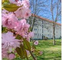 Wohnung zum Mieten in Freiberg 306,00 € 47 m²