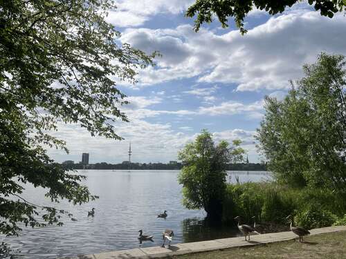 Foto - Wohnung zum Kaufen in Hamburg 7.500.000,00 € 309.28 m²