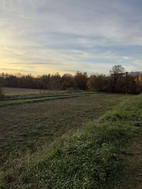 Foto - Grundstück zu verkaufen in Speyer 485.120,00 € 379 m²