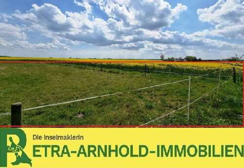 Foto - Grundstück zu verkaufen in Sauzin 900.000,00 € 6000 m²