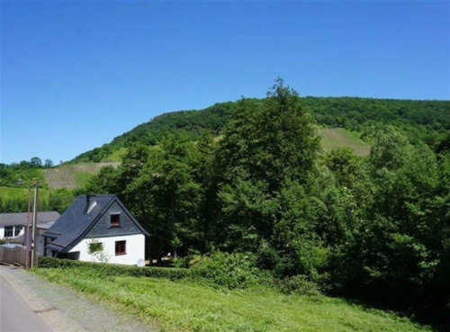 Foto - Grundstück zu verkaufen in Traben-Trarbach 59.999,00 € 759 m²