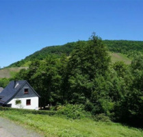Grundstück zu verkaufen in Traben-Trarbach 59.999,00 € 759 m²