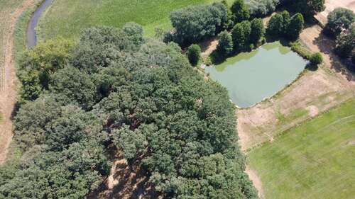 Foto - Grundstück in Beesten 320.000,00 € 40000 m²