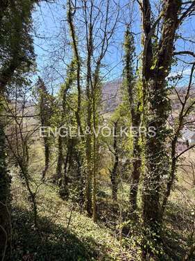 Foto - Grundstück zu verkaufen in Bad Urach 110.000,00 € 640 m²